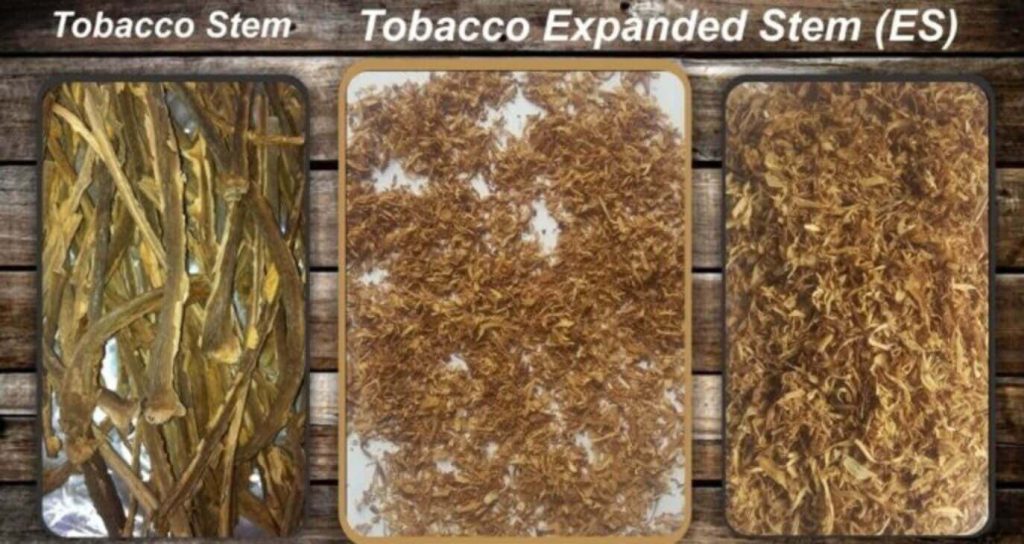 Детальная текстура расширенных стеблей табака